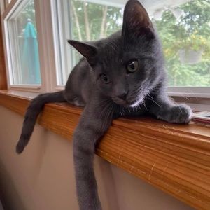 Meet your Posher, Emily